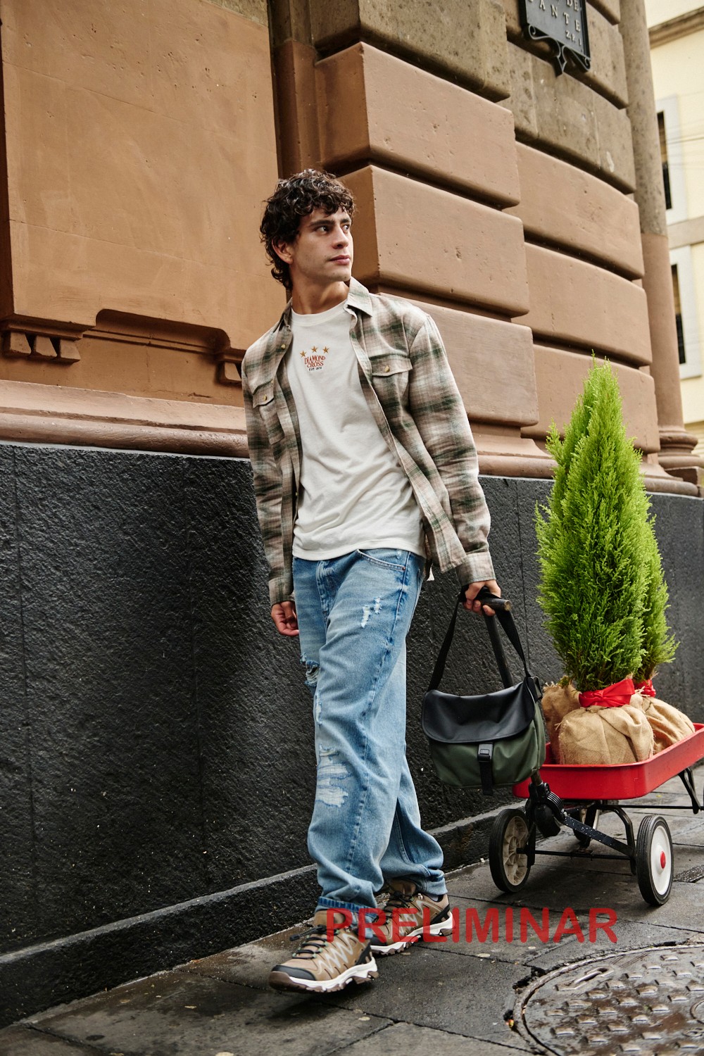 Fotos de colección de grises